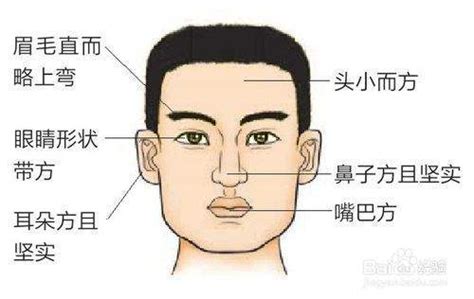 木型人面相|【面相館】五形面相 (木形人、火形人、土形人、金形。